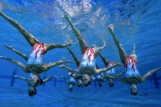 九游娱乐首页-沙漠风暴席卷多哈，2026世界杯F组焦点战，阿联酋以攻代守大胜越南，孙兴慜化身亚洲第一引擎引爆进攻狂潮