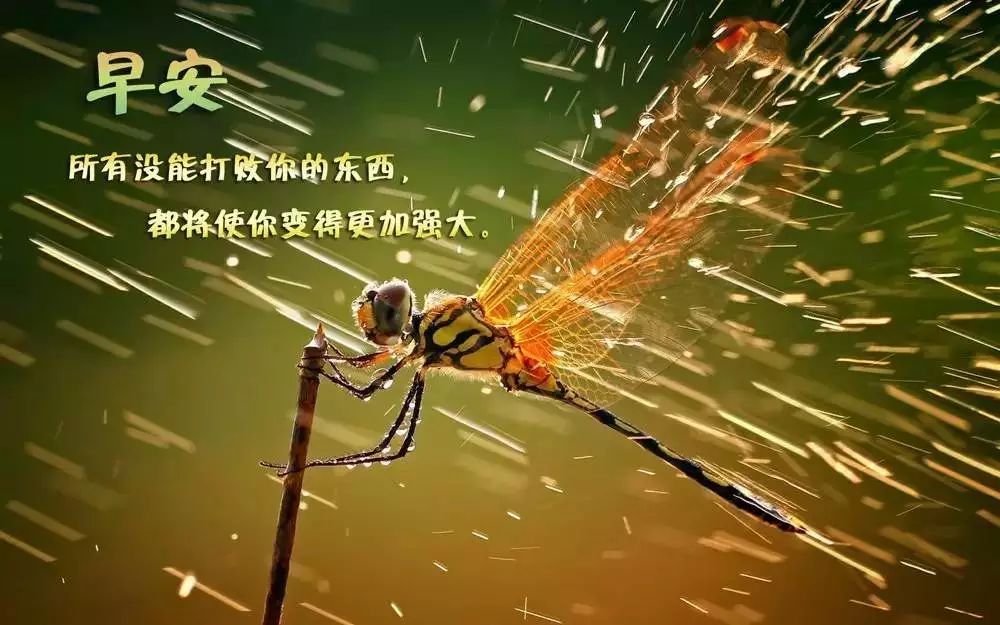 竞争激烈，只有最强者能笑到最后