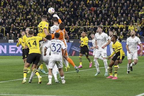 包含里尔客场逼平斯特拉斯堡,连胜势头受挫的词条 包含里尔客场逼平斯特拉斯堡,连胜势头受挫的词条