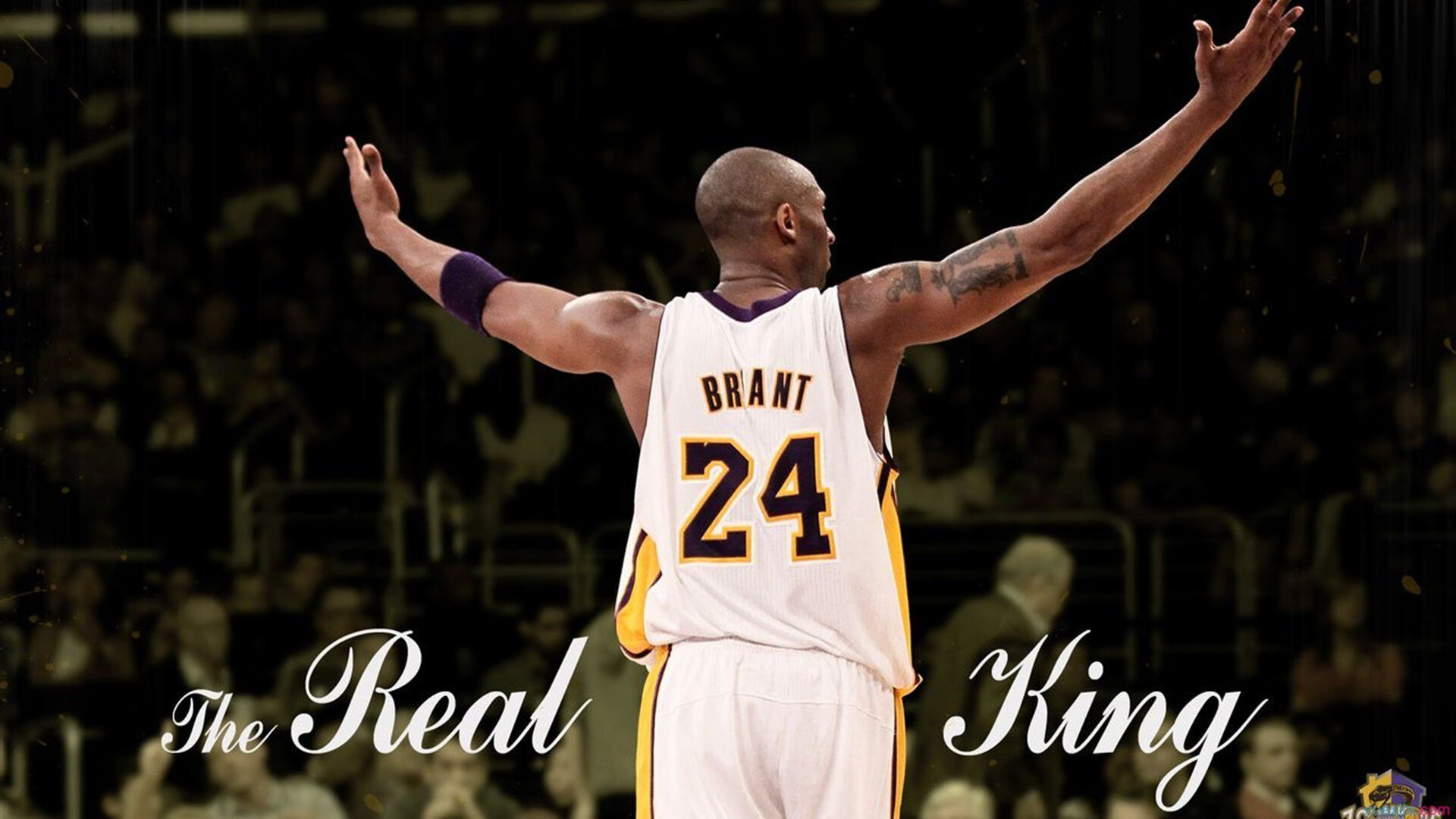 凯尔特人对阵北京队，贝恩如何成为攻防转换的隐形引擎