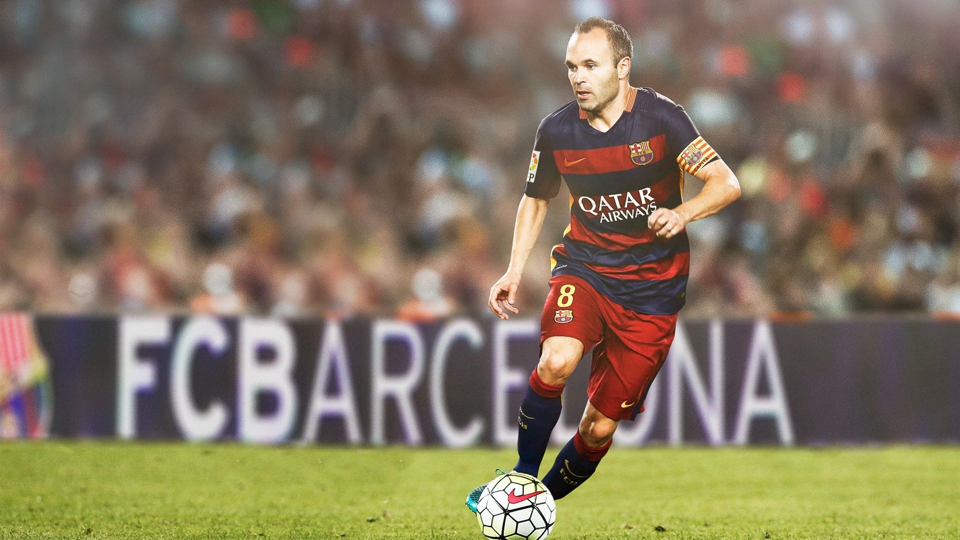 绝境中的蜂鸣，霍勒迪压力下的致命一击，黄蜂如何粉碎骑士神话